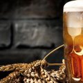 Британия и пиво: история любви с каменного века
