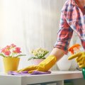 В доме снова станет чисто: как сделать анти-пыль из недорогого ингредиента