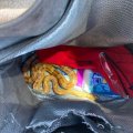 ФОТО | Жительница Вильянди искала в своей сумке телефон, а нашла экзотическую змею