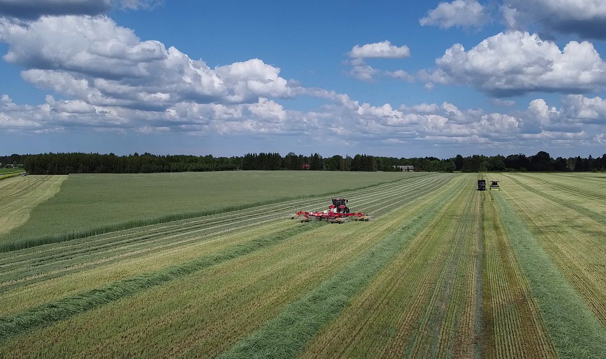 Kliimaministeerium tahab vabatahtlikult kaitse alla võtta 30% Eesti maismaast.