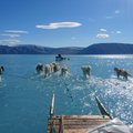 Gröönimaa laskis juulis maailmamerre 200 miljardit tonni vett