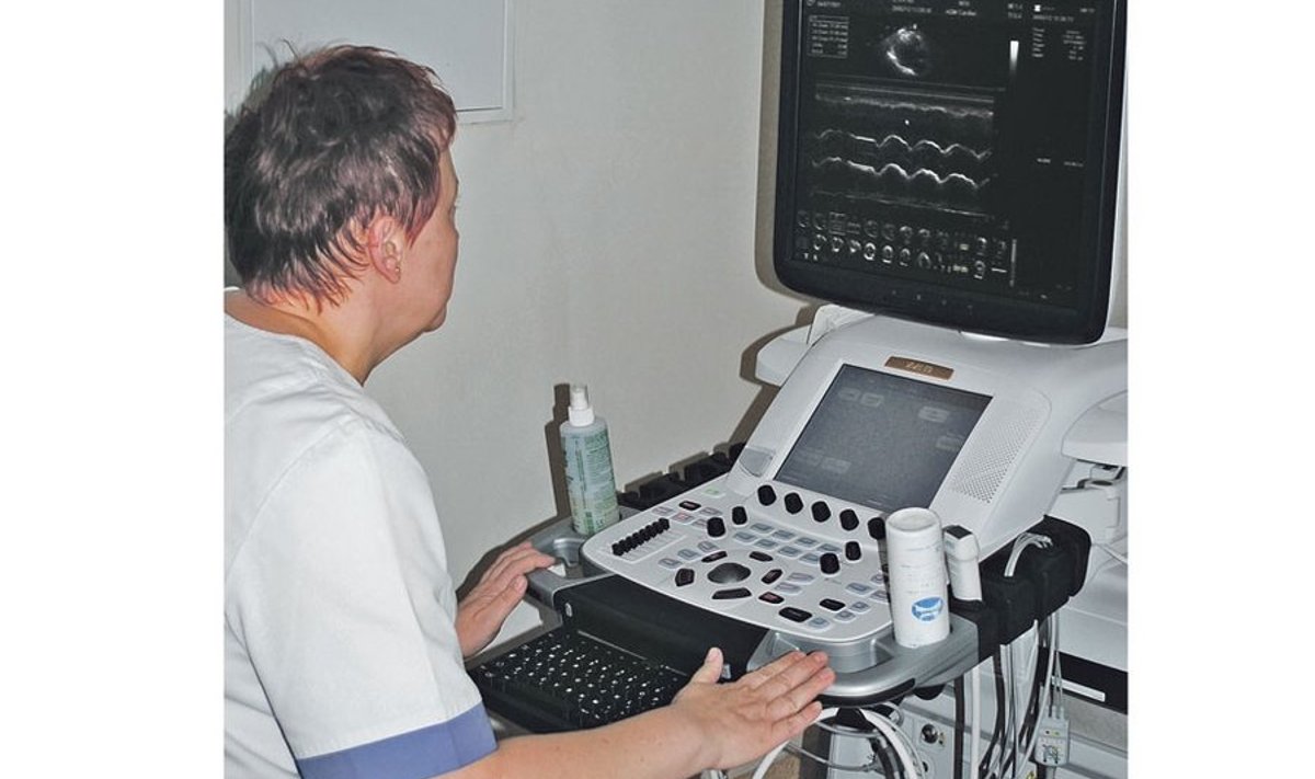 Ehhokardiograafiga jälgitakse patsiendi südame tööd: aparaat näitab südameklappide ehitust; sellega saab hinnata funktsiooni; mõõta südamelihaste paksust ja kontraktsioonide tugevust.