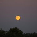 ФОТО: Портрет Луны на фоне восходящего Солнца