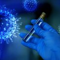 Новые лекарства от коронавируса могут поступить в Эстонию уже в январе