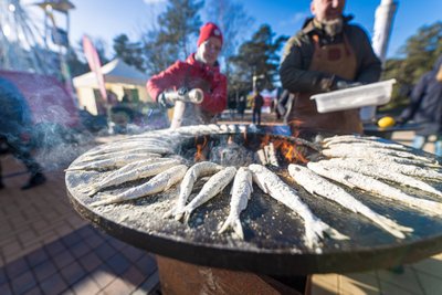 Palanga Stinta festival