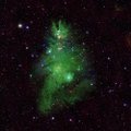 Елка появилась даже в космосе: удивительное новогоднее фото звездного скопления 