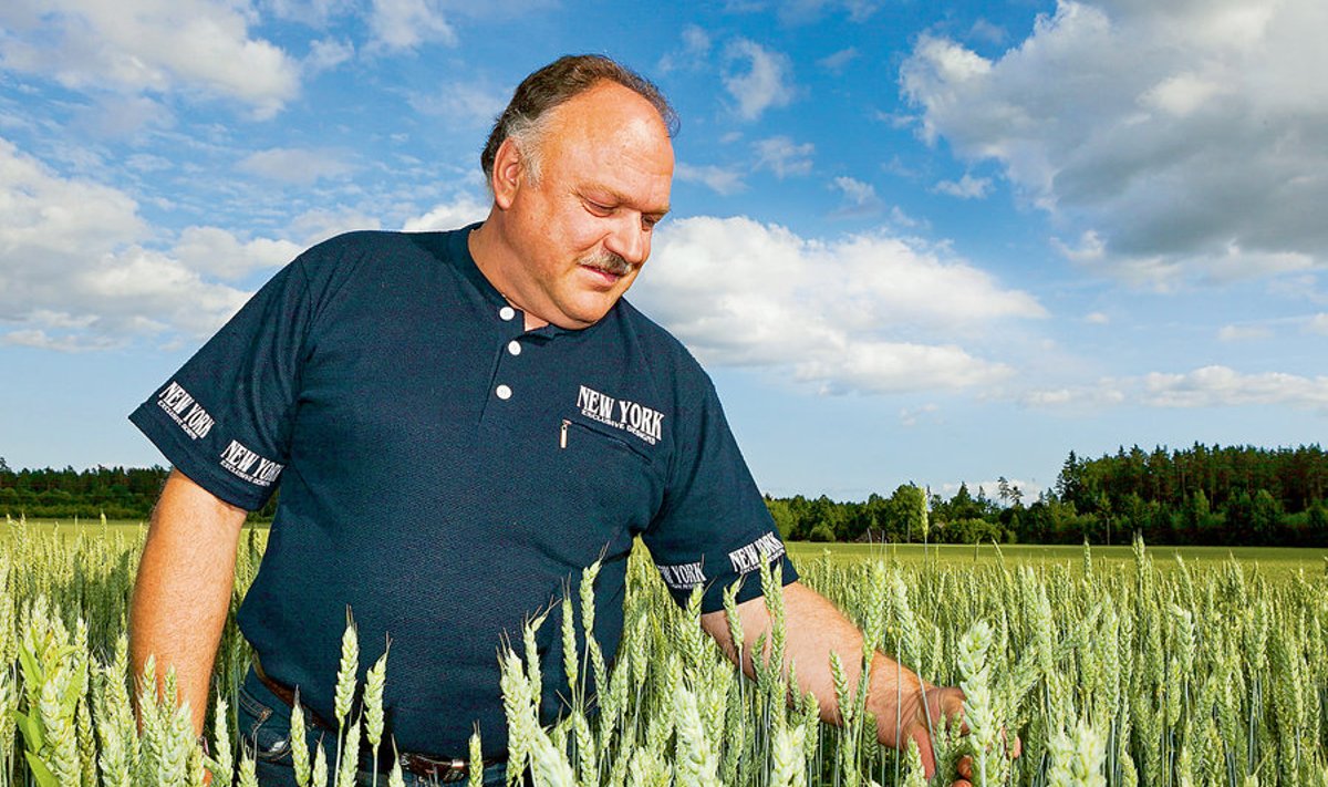 Rebruki taimekasvatust juhib Einar Lepiste,  kes nimetab end kaljukindlalt agronoomiks.