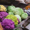 Назван “овощ долголетия”, продлевающий жизнь и защищающий от рака