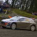Hayden Paddon loodab WRC-hooaja lõpus järgmiseks aastaks kõva vundamendi laduda