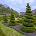 Tasuta Maakodu reisi võitja sõidab maikuus Belgia kauneid aedu vaatama