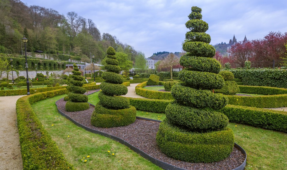 Durbuy topiaaria-aias saab näha 250 okaspuuskulptuuri.