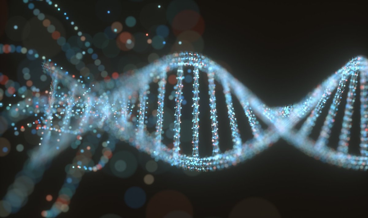 DNA on kromosoomide põhikomponent