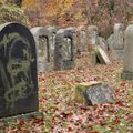 Taanis vahistati juudi surnuaias vandaalitsemise eest kohaliku neonatside organisatsiooni ninamees