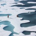 Kas Põhja-Jäämeri muutub paiguti juba Atlandi ookeaniks?