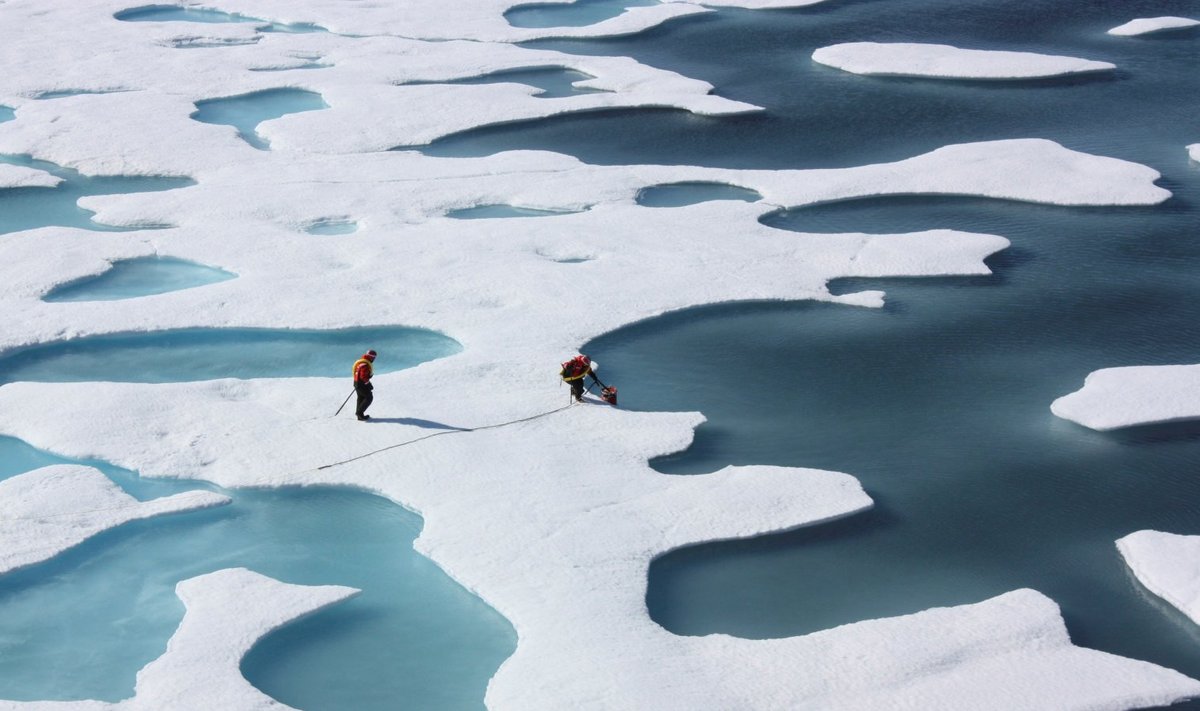 NASA pilt näitab Arktika sulamist