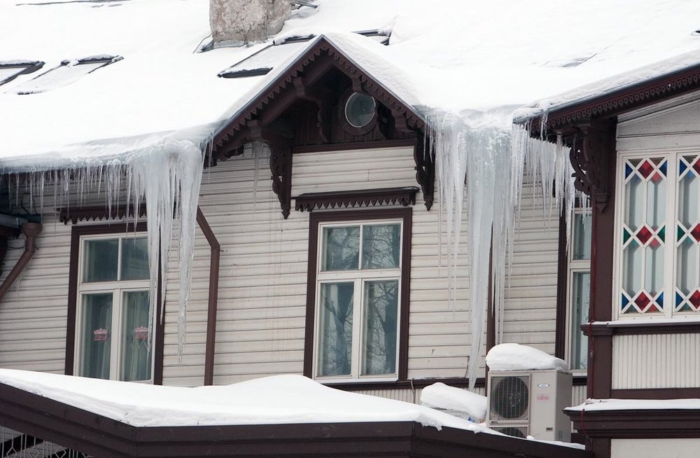 В нашем доме на карнизе храбрый