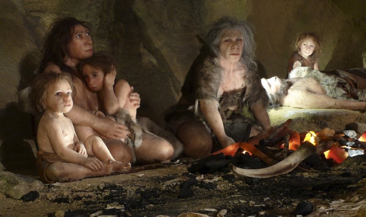 Neandertallaste vahakujud Horvaatia muuseumis.