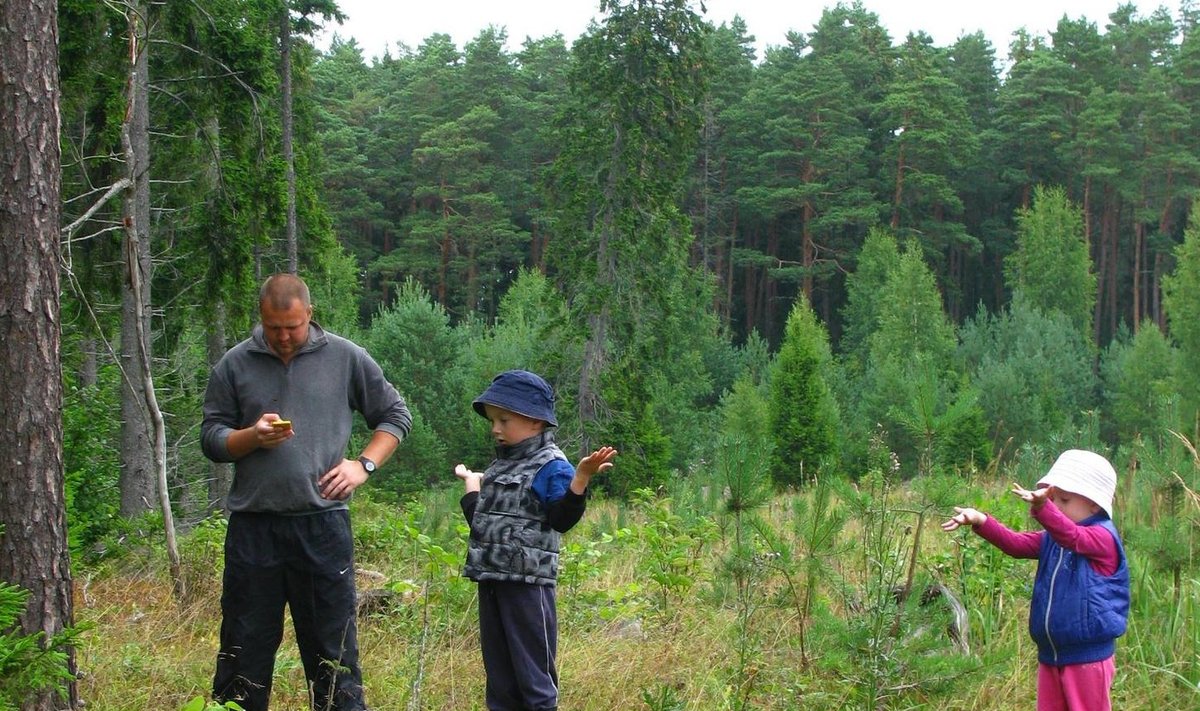 ASi Timber metsaspetsialist Kristo Kütt koos oma lastega metsas. Taamal näha pea kogu metsa eluring – lageraielank, noor kultuur, noorendik, keskealine ja küps mets.