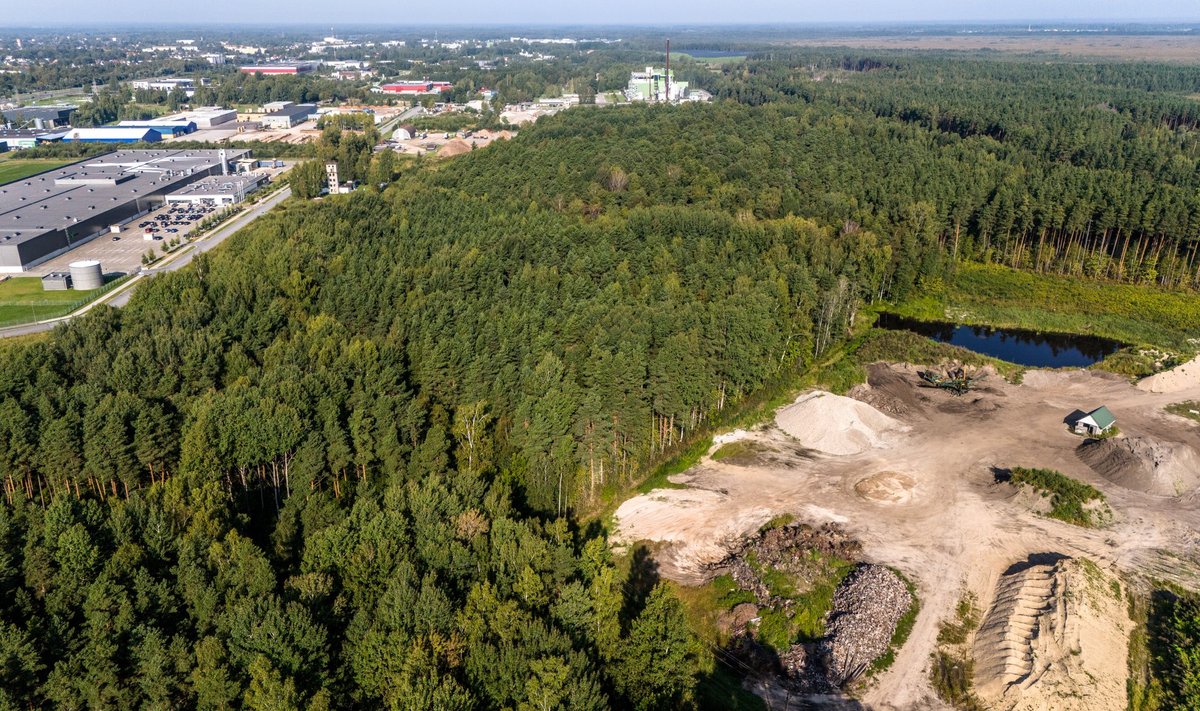 Pärnusse kavandatava metanoolitehase plaanitud asukoha keskele jääb mets ühes vääriselupaikadega.