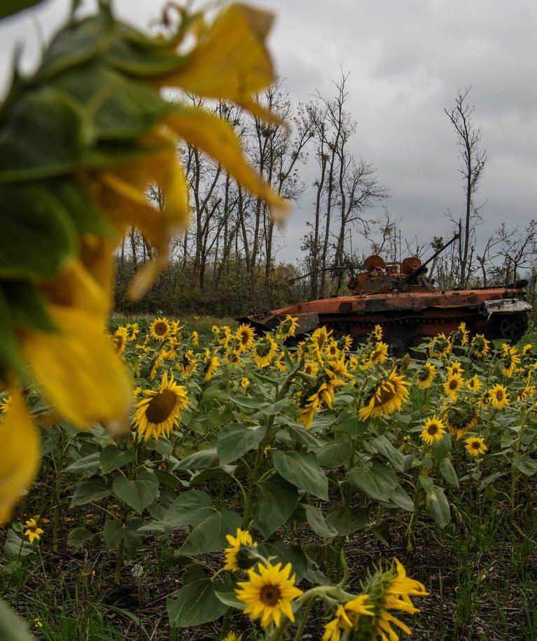 Hävitatud Vene sõjamasin Ukraina päevalillede keskel