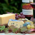 TOITUMISNÕUSTAJA SELGITAB | Miks panevad juust ja vein pea valutama?