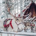 Lapimaal tõotab tulla rekordiline turismihooaeg. Jõuluhooajal lendab Rovaniemisse 130 lendu nädalas