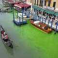 VIDEO | Veneetsia kanalid värvusid teadmata põhjusel mürkroheliseks, politsei alustas juurdlust
