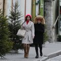 В январе Эстонию посещали в основном туристы из Латвии