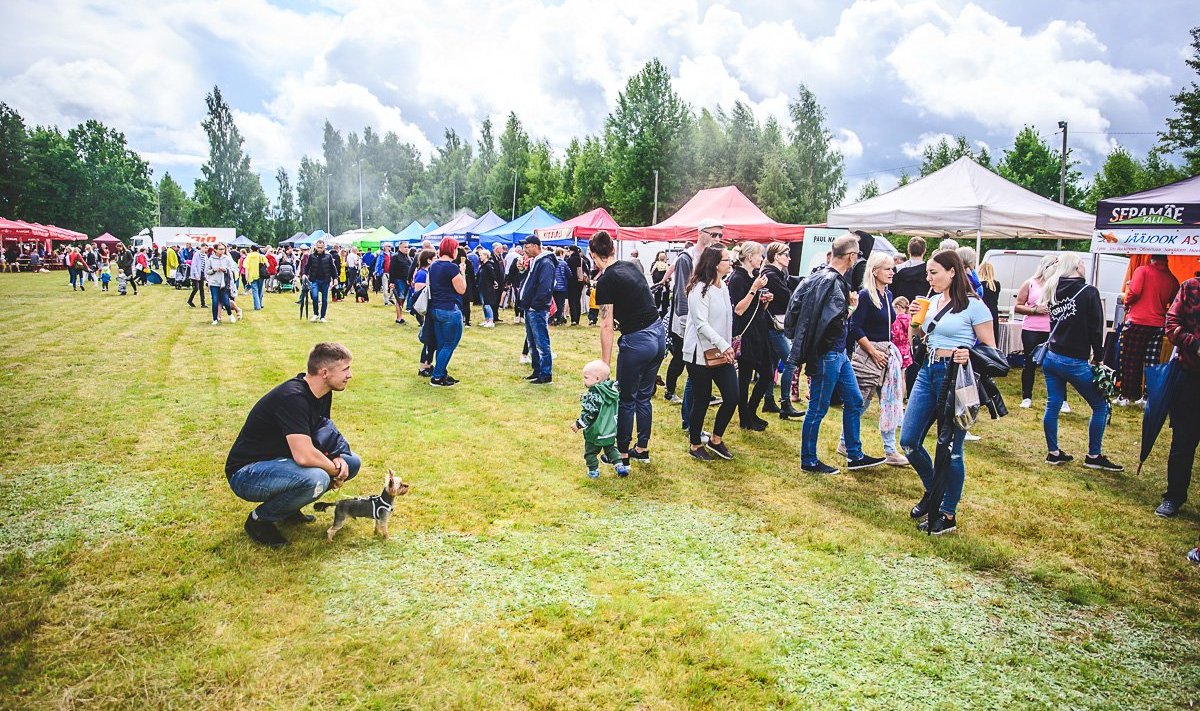 Rääbise sõprade festival