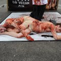 Veganid terroriseerivad Prantsusmaa lihatööstust