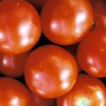 Mälestusi Urgelt: Kuidas ma tomatit sööma õppisin