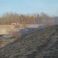 FOTOD: Maardus põles 16 hektarit kulu, Kose vallas süttis lõkkest elumaja