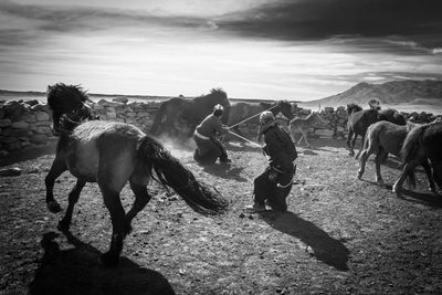 Mongoolias õpivad lapsed ratsutama ja lassot heitma juba väga noorelt.