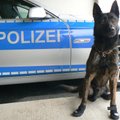 Saksamaa neljajalgsed politseinikud saavad uued kingad