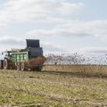 В ЕС планируют вдвое сократить использование пестицидов в сельском хозяйстве