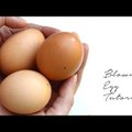 VIDEO: Nüüd saad lõpuks teada, kuidas õigesti muna tühjaks puhuda