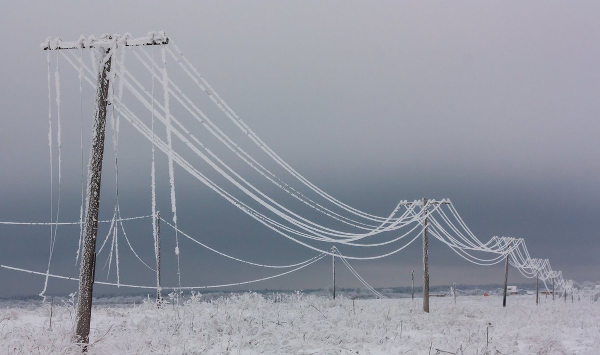Elektrilevi sõnul olid Saaremaa ilmastikuolud vääramatu jõud.