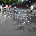 ФОТО: Улицы Таллинна утопают в выброшенных марафонцами пластиковых стаканчиках
