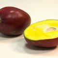 Mangode söömine võib alandada veresuhkrutaset