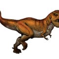 Kas türannosaurus oli osav kütt või hoopis raipesööja?