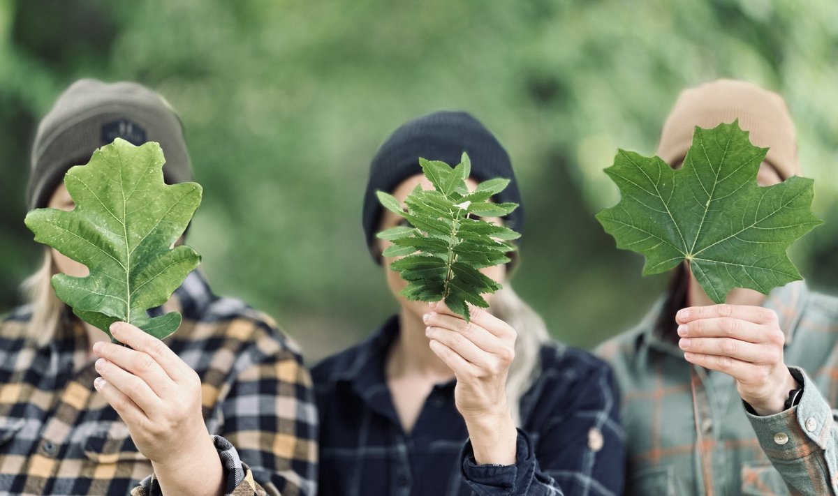 Liina, Sille ja Elerin pakuvad kodukandi lastele kaks vahvat metsaretke.