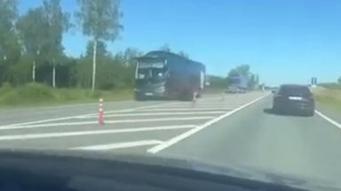 VIDEO | Tartumaal sai karu liinibussilt löögi, looma võib oodata piinarikas surm