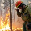 Teadlaste hinnangul nullib kliimamuutus võitluse hiiglaslike metsapõlengutega