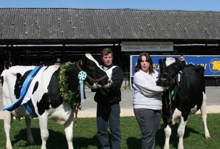 Viss 2010 Kaili Nigula Piima OÜst (vasakul) ja Reserv-Viss Kehtna Mõisa OÜ lehm Oosu 