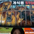 Lõuna-Korea lehe väitel konfiskeeritakse põhjakorealastelt koeri, et anda nad lihatööstusele