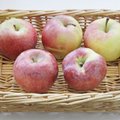 Kodumaised õunad on tervise sõbrad: Söö vähemalt õun päevas