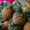 ANANASSI PEIDUS POOL | Ananass pole ainult kompoti- ja kokteililisand, tema kiust saab isegi tikandeid valmistada