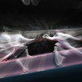 FOTOD: Nikolai Novosjolovi olümpiaturniir lõppes kaheksa parema hulgas