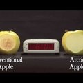 USA-s tulevad järgmisel kuul müügile esimesed geenimuundatud õunad