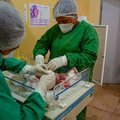 В Бразилии — бум недоношенных младенцев из-за ковида. У сотен женщин болезнь вызвала преждевременные роды